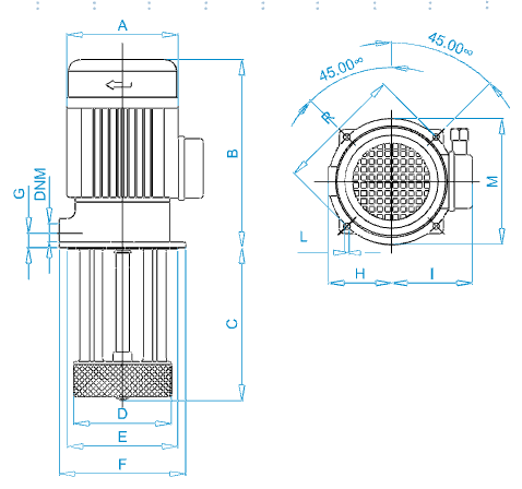 Disegno quotato elettropompa Osip PS 100 con le quote della tabella dimensioni