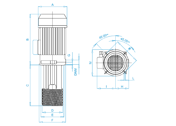 Disegno quotato elettropompa Osip PS 300 con le quote della tabella dimensioni