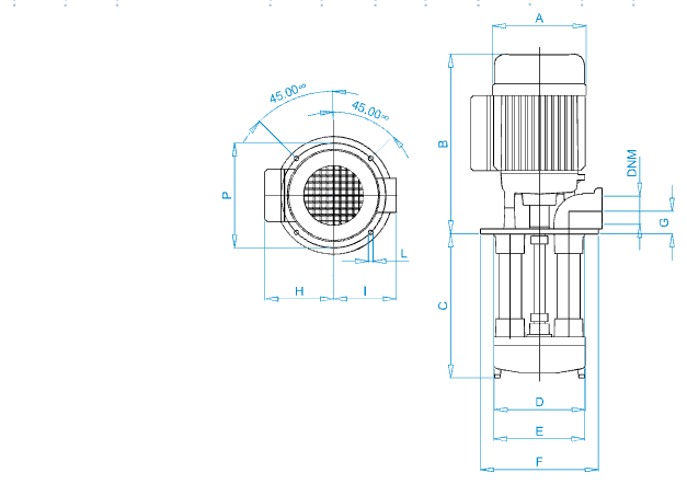 Disegno quotato elettropompa Osip ZC 100 con le quote della tabella dimensioni