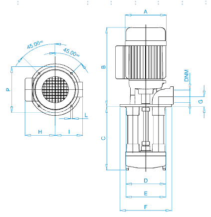 Disegno quotato elettropompa Osip ZS 100 con le quote della tabella dimensioni